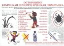 Осторожно: клещи!